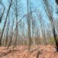 1.3ac Off Connors Rd, , Three Lakes,  WI 54562 United States