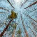1.3ac Off Connors Rd, , Three Lakes,  WI 54562 United States