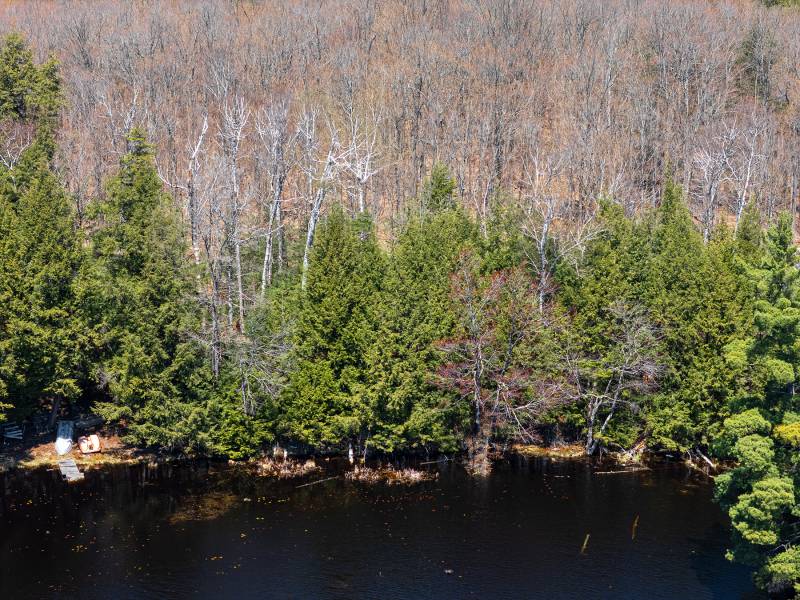 1.3ac Off Connors Rd, , Three Lakes,  WI 54562 United States