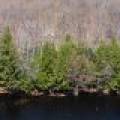 1.3ac Off Connors Rd, , Three Lakes,  WI 54562 United States