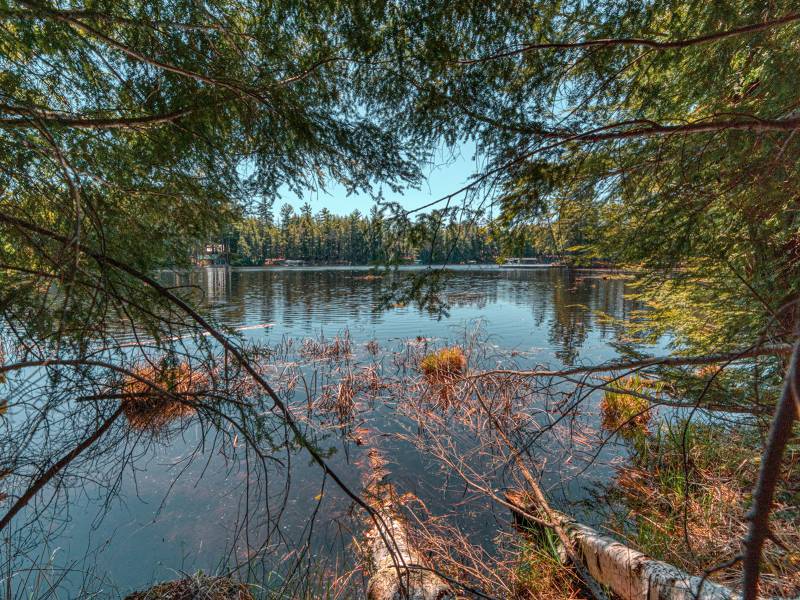 1.3ac Off Connors Rd, , Three Lakes,  WI 54562 United States