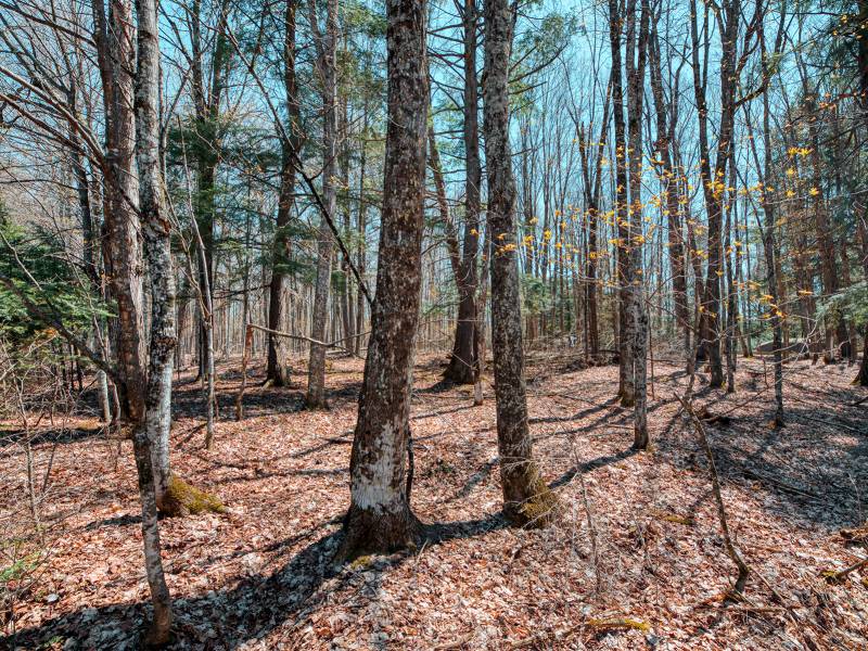 1.3ac Off Connors Rd, , Three Lakes,  WI 54562 United States