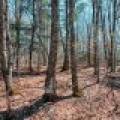 1.3ac Off Connors Rd, , Three Lakes,  WI 54562 United States