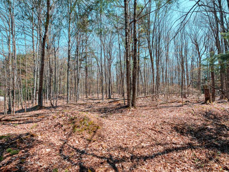 1.3ac Off Connors Rd, , Three Lakes,  WI 54562 United States