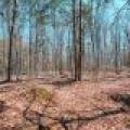 1.3ac Off Connors Rd, , Three Lakes,  WI 54562 United States