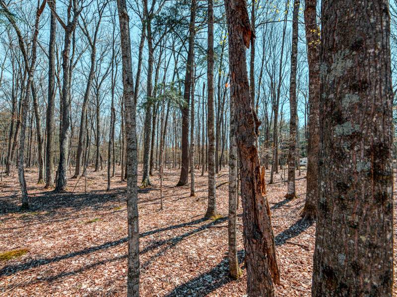 1.3ac Off Connors Rd, , Three Lakes,  WI 54562 United States