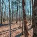 1.3ac Off Connors Rd, , Three Lakes,  WI 54562 United States