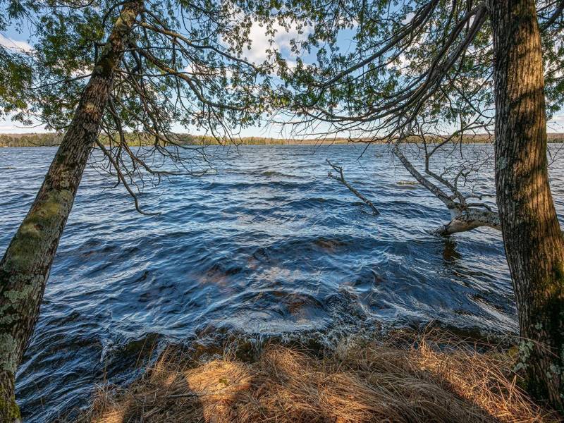 1.5a-off Trails End Rd, , Land O Lakes,  WI 54540 United States