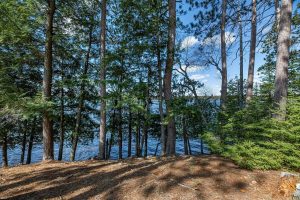1.5a-off Trails End Rd, , Land O Lakes,  WI 54540 United States
