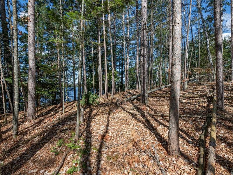 1.5a-off Trails End Rd, , Land O Lakes,  WI 54540 United States