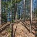 1.5a-off Trails End Rd, , Land O Lakes,  WI 54540 United States