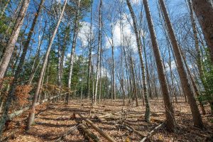 1.5a-off Trails End Rd, , Land O Lakes,  WI 54540 United States