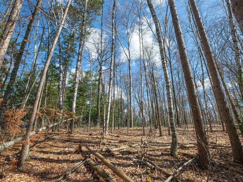 1.5a-off Trails End Rd, , Land O Lakes,  WI 54540 United States