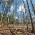 1.5a-off Trails End Rd, , Land O Lakes,  WI 54540 United States