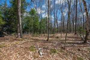 1.5a-off Trails End Rd, , Land O Lakes,  WI 54540 United States