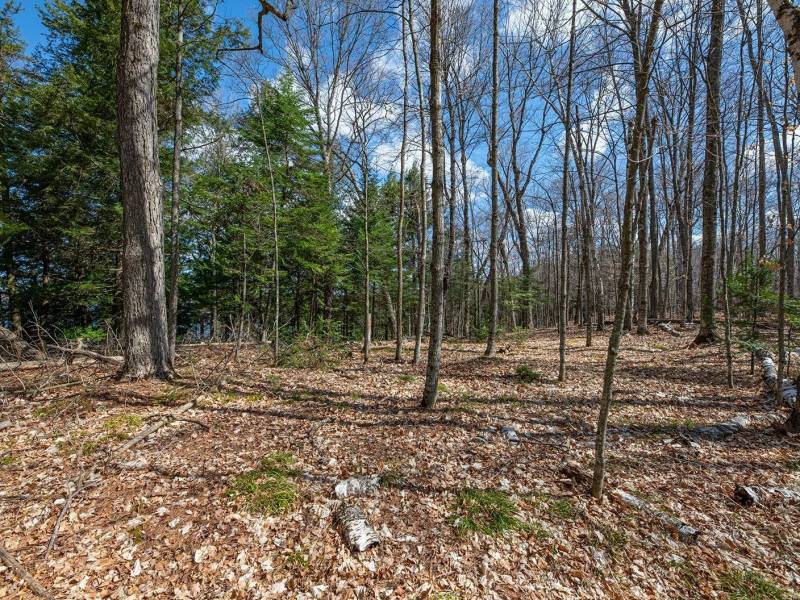 1.5a-off Trails End Rd, , Land O Lakes,  WI 54540 United States
