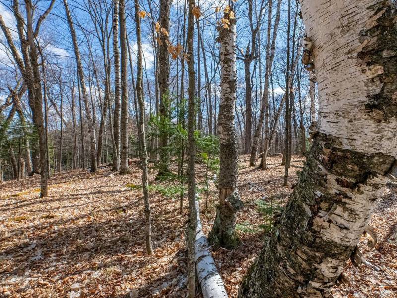 1.5a-off Trails End Rd, , Land O Lakes,  WI 54540 United States