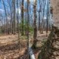 1.5a-off Trails End Rd, , Land O Lakes,  WI 54540 United States