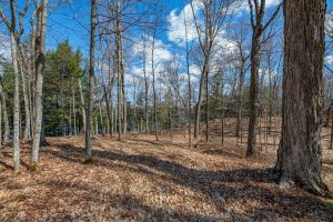 1.5a-off Trails End Rd, , Land O Lakes,  WI 54540 United States