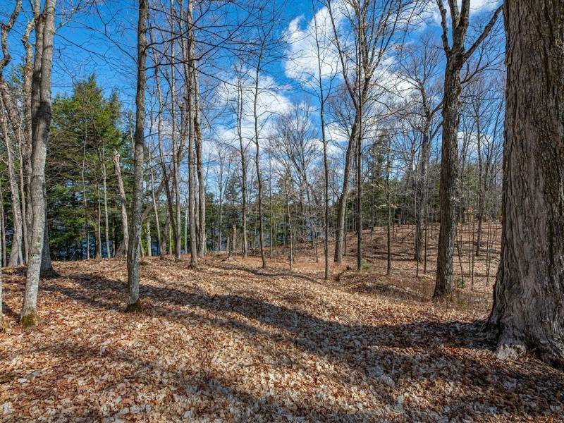 1.5a-off Trails End Rd, , Land O Lakes,  WI 54540 United States
