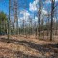1.5a-off Trails End Rd, , Land O Lakes,  WI 54540 United States