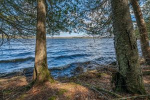 1.5a-off Trails End Rd, , Land O Lakes,  WI 54540 United States