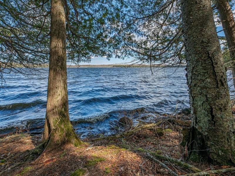 1.5a-off Trails End Rd, , Land O Lakes,  WI 54540 United States
