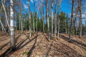 1.5a-off Trails End Rd, , Land O Lakes,  WI 54540 United States