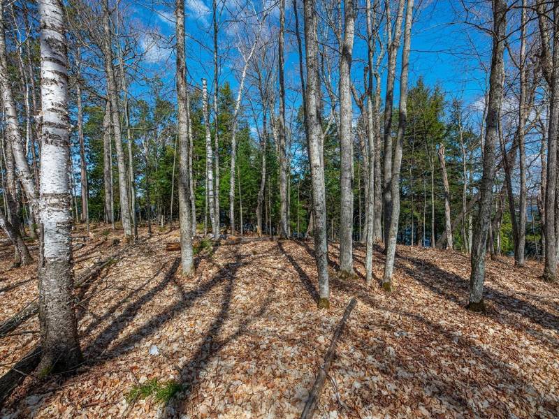 1.5a-off Trails End Rd, , Land O Lakes,  WI 54540 United States