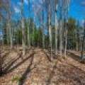 1.5a-off Trails End Rd, , Land O Lakes,  WI 54540 United States
