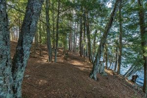 1.5a-off Trails End Rd, , Land O Lakes,  WI 54540 United States