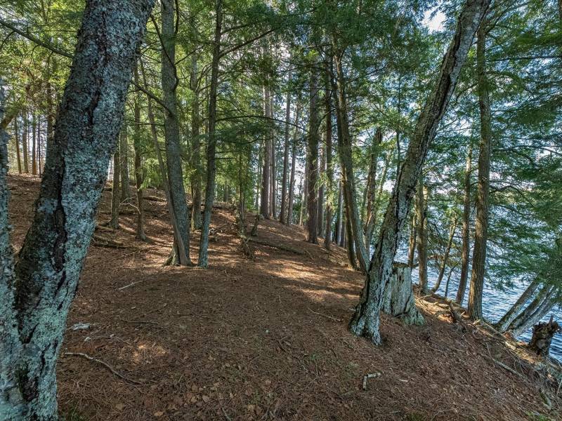 1.5a-off Trails End Rd, , Land O Lakes,  WI 54540 United States