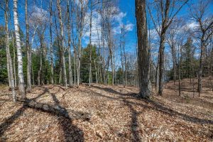 1.5a-off Trails End Rd, , Land O Lakes,  WI 54540 United States