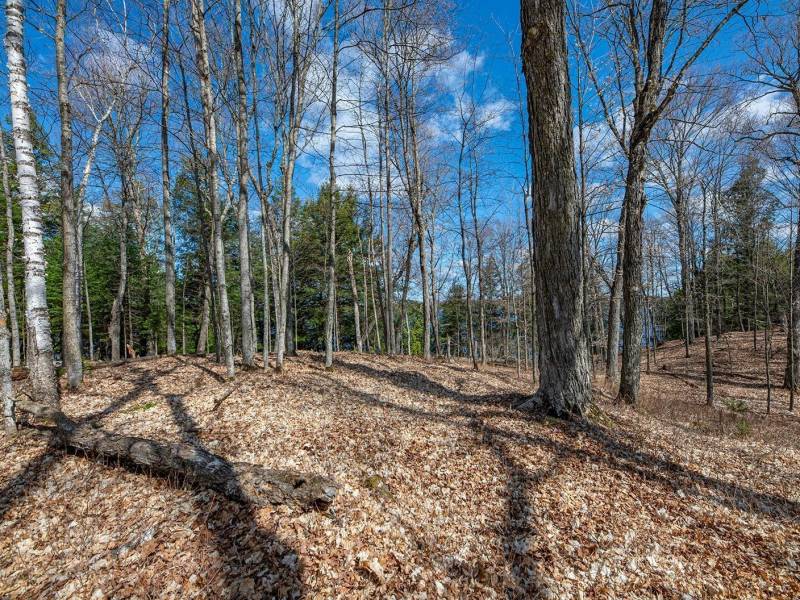 1.5a-off Trails End Rd, , Land O Lakes,  WI 54540 United States