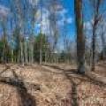 1.5a-off Trails End Rd, , Land O Lakes,  WI 54540 United States