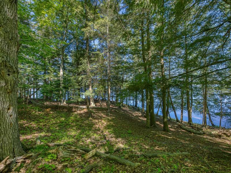 1.5a-off Trails End Rd, , Land O Lakes,  WI 54540 United States