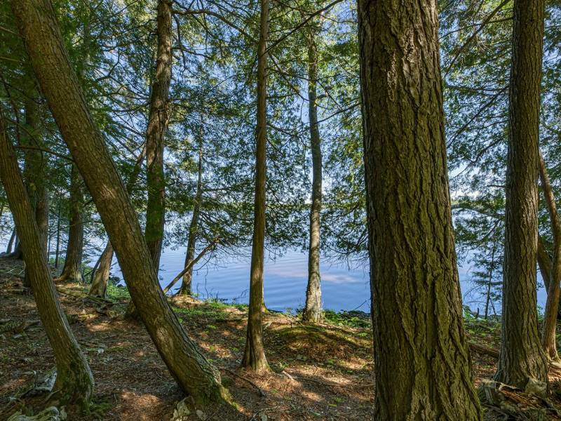 1.5a-off Trails End Rd, , Land O Lakes,  WI 54540 United States