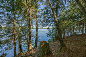 1.5a-off Trails End Rd, , Land O Lakes,  WI 54540 United States