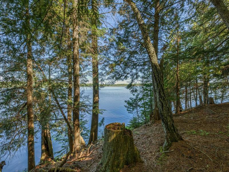 1.5a-off Trails End Rd, , Land O Lakes,  WI 54540 United States