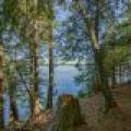 1.5a-off Trails End Rd, , Land O Lakes,  WI 54540 United States