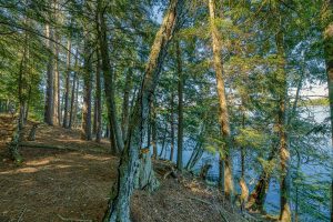1.5a-off Trails End Rd, , Land O Lakes,  WI 54540 United States