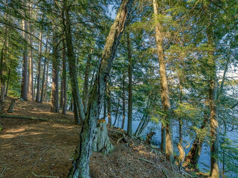 1.5a-off Trails End Rd, , Land O Lakes,  WI 54540 United States