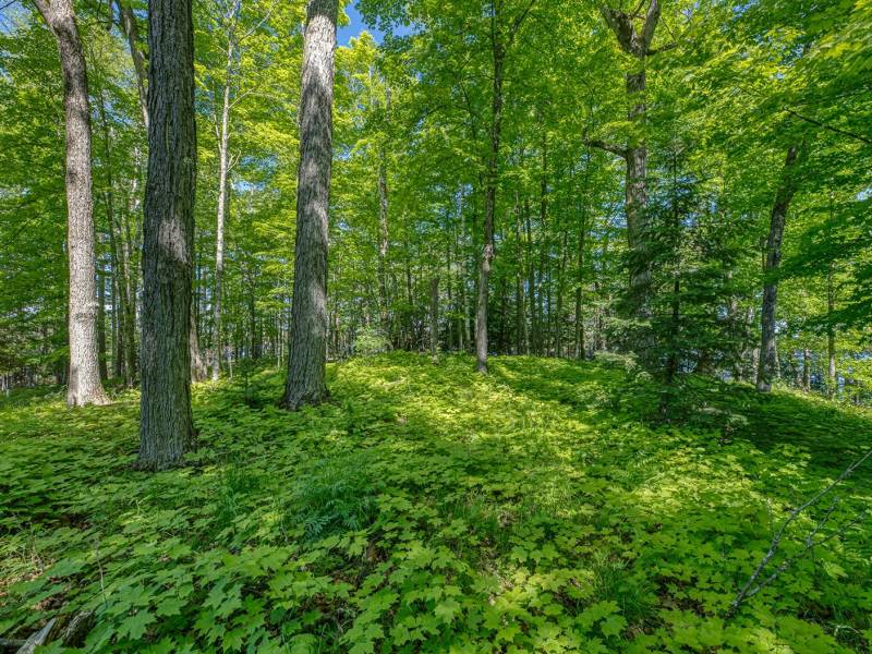 1.5a-off Trails End Rd, , Land O Lakes,  WI 54540 United States