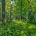 1.5a-off Trails End Rd, , Land O Lakes,  WI 54540 United States