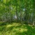 1.5a-off Trails End Rd, , Land O Lakes,  WI 54540 United States