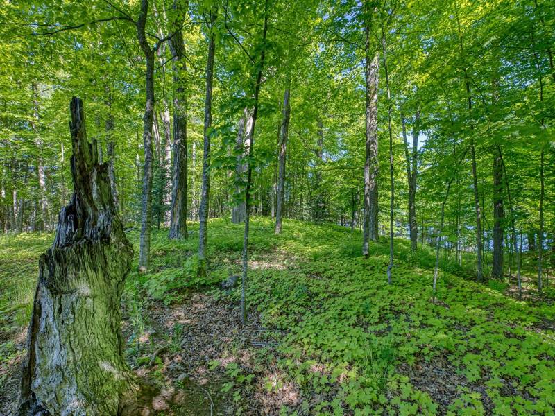 1.5a-off Trails End Rd, , Land O Lakes,  WI 54540 United States