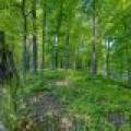 1.5a-off Trails End Rd, , Land O Lakes,  WI 54540 United States