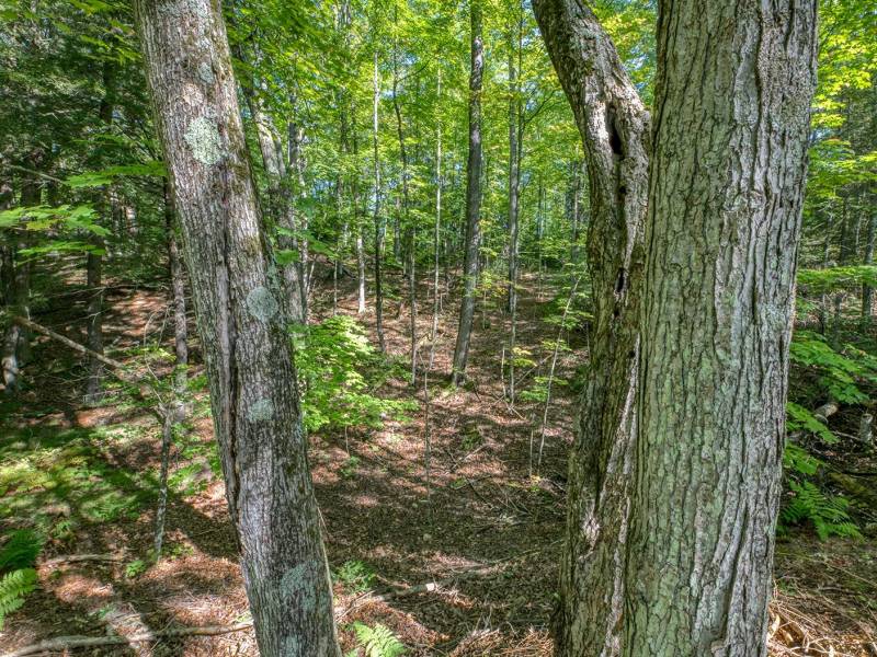11559 Halme Ln, , Hiles,  WI 54521 United States