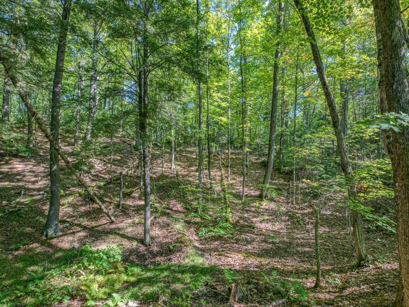 11559 Halme Ln, , Hiles,  WI 54521 United States
