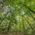11559 Halme Ln, , Hiles,  WI 54521 United States